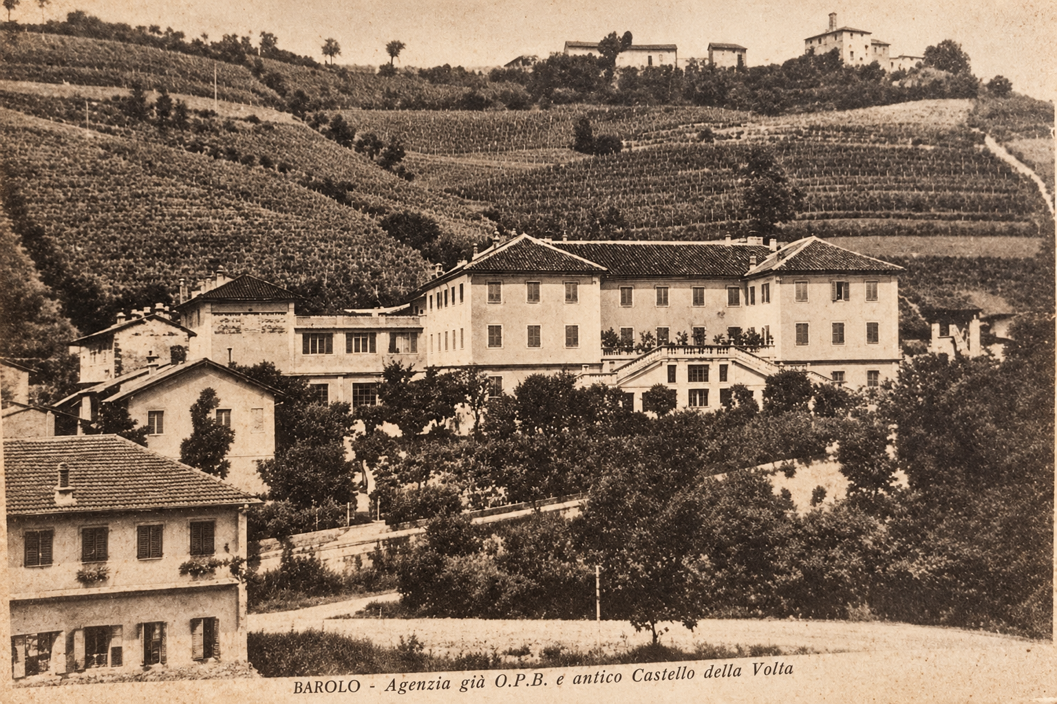 Barolo vineyards and historic village