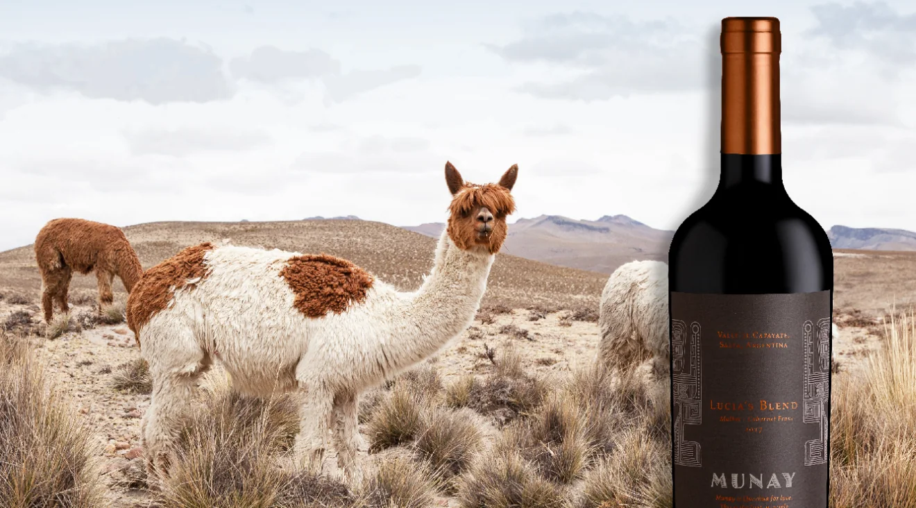 Lucía’s Blend de Munay con llamas
